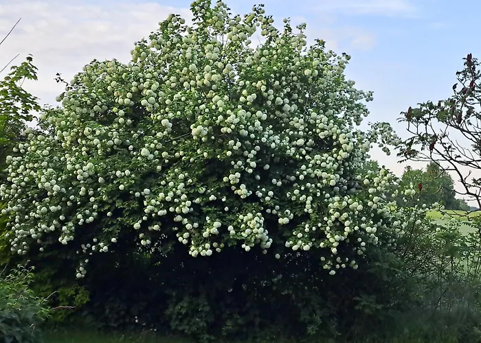 Prázdninový dům Hof Schumacher *