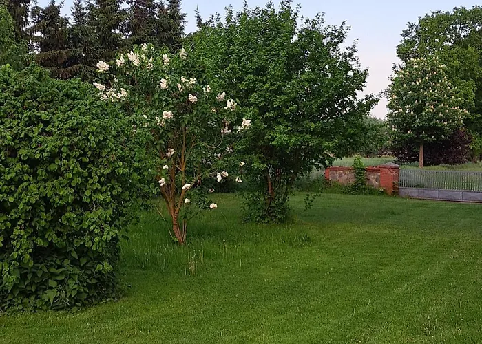 Hof Schumacher Prázdninový dům